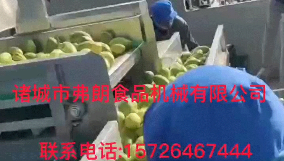 Mango cleaning line