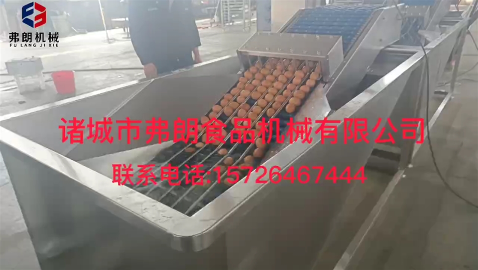 六排上蛋机