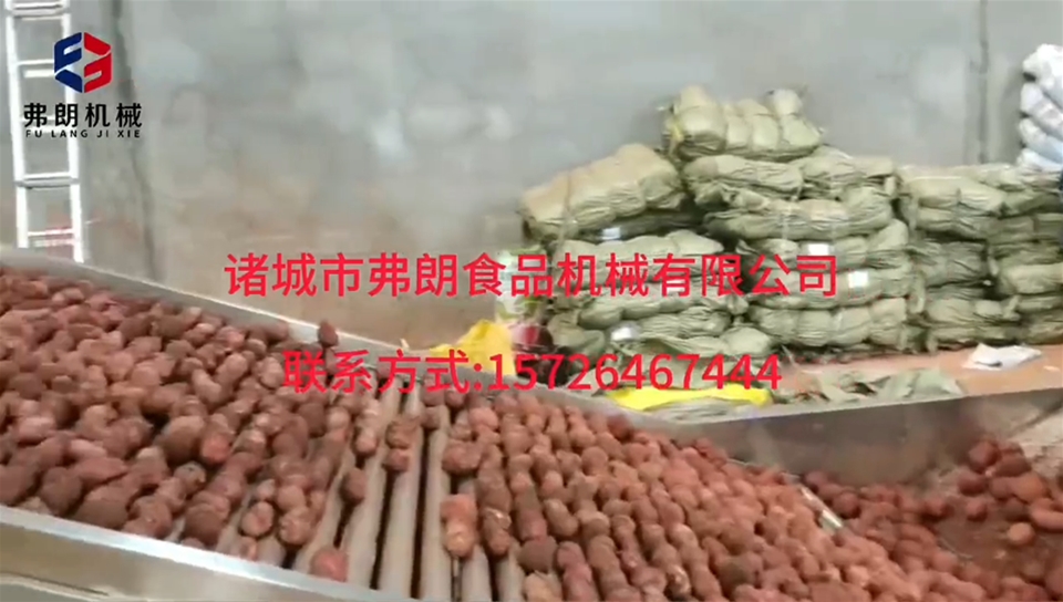 Potato sorting machine