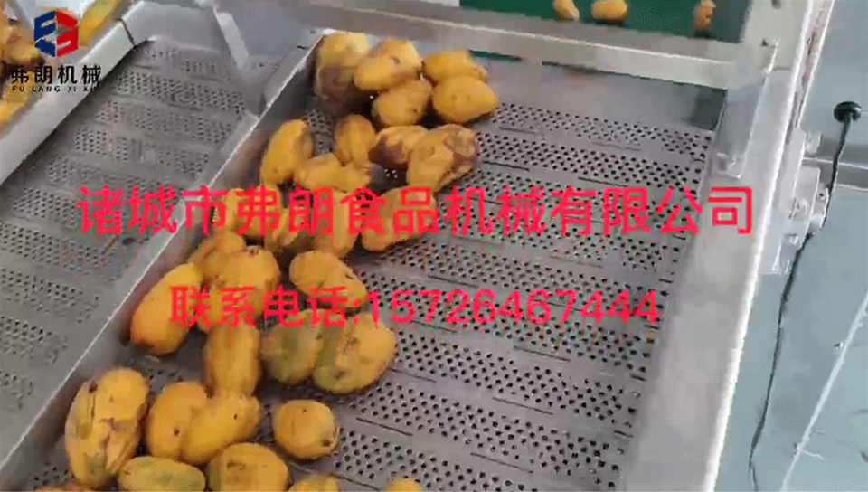 Mango size grading field test machine