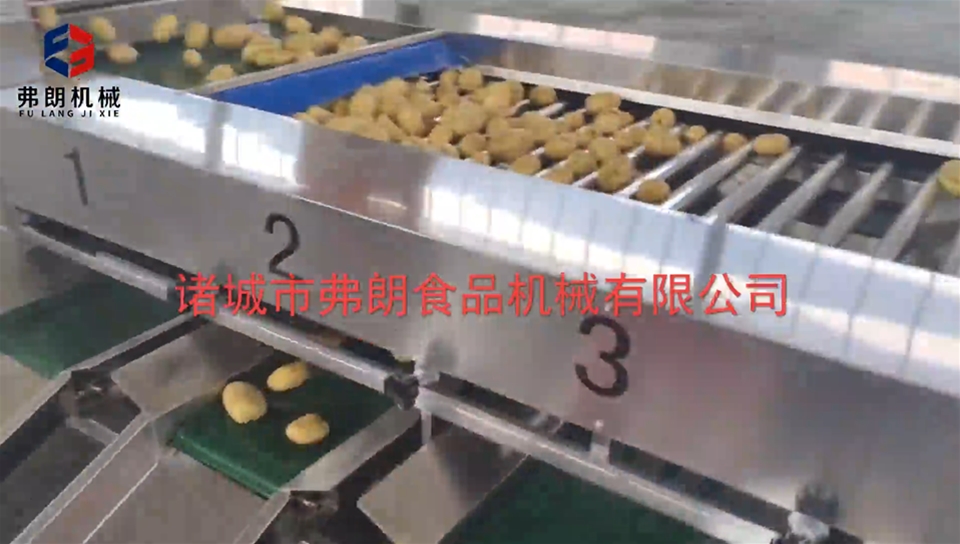 Potato cleaning roller sorting complete assembly line