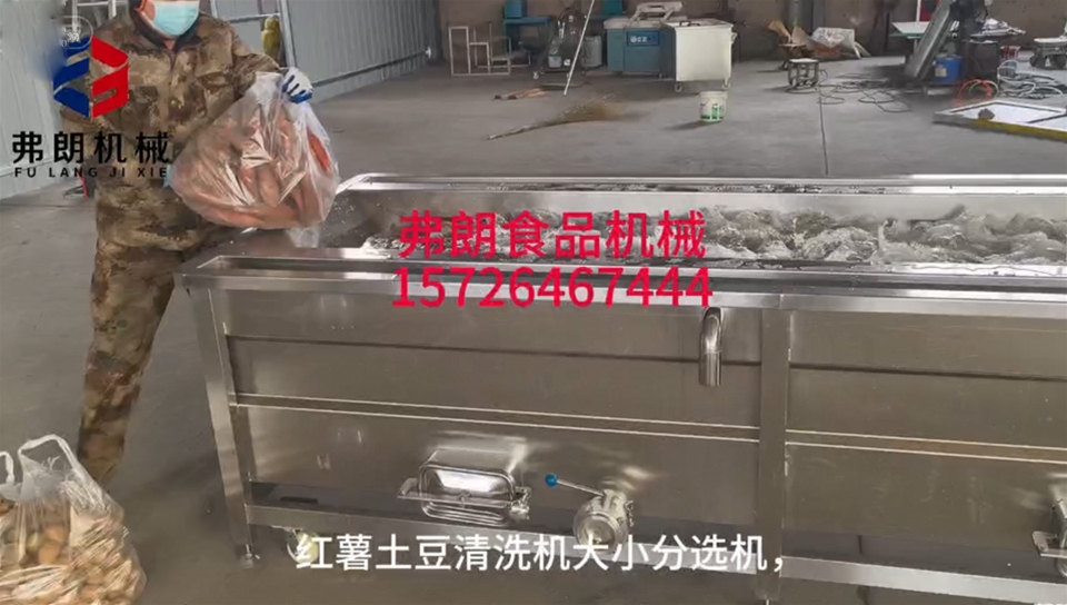 土豆红薯清洗风干分级流水线